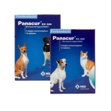 PANACUR DOG CAT