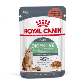Royal Canin Digestive Care Natvoer in Gravy kattenvoer 48x85g