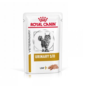 Royal Canin Urinary S/O Nourriture humide pour chat