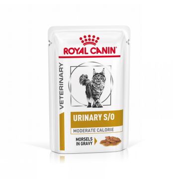 Royal Canin Urinary pour chat moderate calorie 12 sachets de 85g
