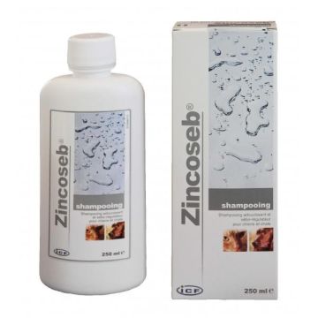 Zincoseb Shampooing 250ml