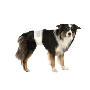 Couche Culotte pour Chien Mâle