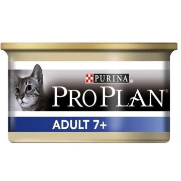 Comment Calculer L Age D Un Chat Calcul De L Age D Un Chat Vetostore Comment Calculer L Age D Un Chat Calcul De L Age D Un Chat Vetostore