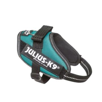 Harnais Julius IDC Power-K9 Bleu Pétrole
