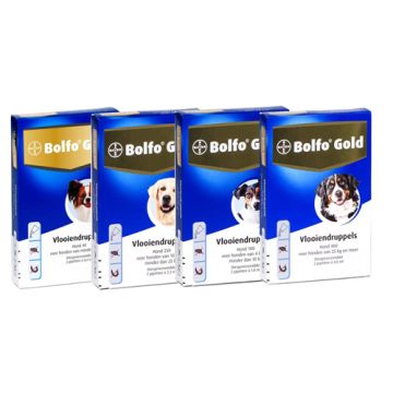 Bolfo Gold Hond 