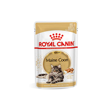 Royal Canin Maine Coon Adult Natvoer Kat 48x85g