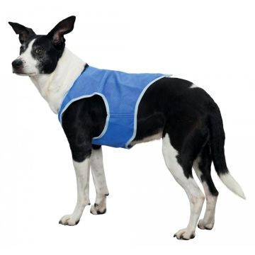 Veste rafraîchissante