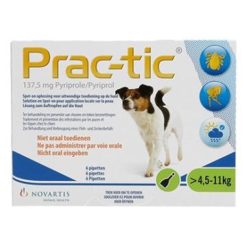 Prac-tic petit chien 6 pipettes