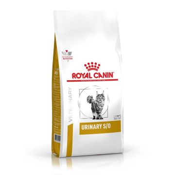 https://pharmapets.imgix.net/media/catalog/product/cache/2cc48bd4269cb761a1ccbaa05288eba3/e/c/eccf0eb19f2be261789bad831c7be8d05300a92cad9e04913277f62f7b05142b.jpeg
