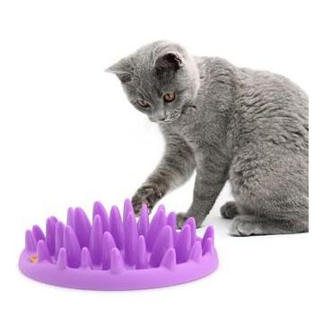 Gamelle Anti Glouton Northmate Catch pour chat