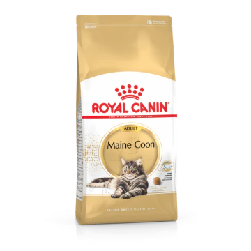Royal Canin Maine Coon Croquettes pour Chat 2kg