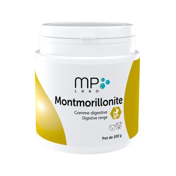 Montmorillonite Surfine Pot de 100g