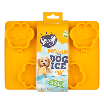 Moule Pour Glace - Small