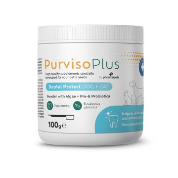Purviso Plus Dental Protect 100g