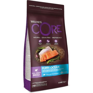 Wellness Core Ocean Croquettes pour Chiots