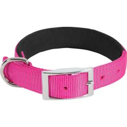 Good Halsband voor Honden Nylon Conf 45cm/20mm Fushia