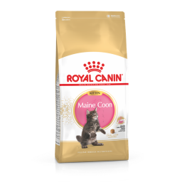Royal Canin Maine Coon Chaton pour chat 4kg