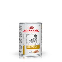 Royal Canin Urinary S/O pour chien 12x410g