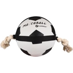 Jouet chien Matchball Balle De Foot 22cm