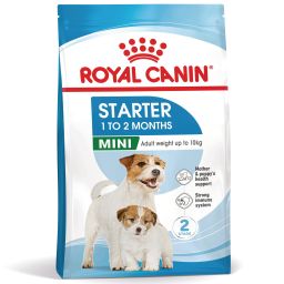 Royal Canin Mini Starter Mother & Babydog pour Chien et Chiot 4kg
