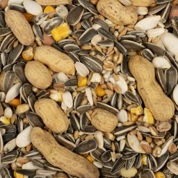 Good Mélange pour Perroquet 15kg