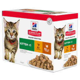 Hill's Science Plan Kitten multipack 12 sachets repas pour chaton poulet et dinde 12x85 g