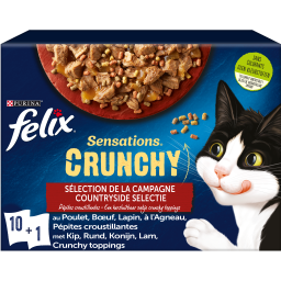 Felix Sensations Crunchy Crumbles Aux Viandes pour Chat Adult 40g