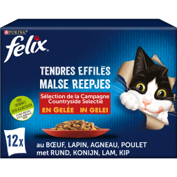 Felix Tendres Effilés Sélection De La Campagne En Gelée pour Chat Adult 12x85g