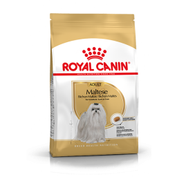 Royal Canin Bichon Maltais Adult pour chien 1,5kg