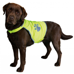 Gilet de Sécurité Fluo