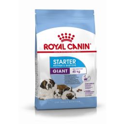 Royal Canin Giant Starter Mother & Babydog 4kg