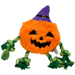 Jack and Vanilla Halloween Pompoen