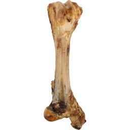 Nature snack vlezig tibia been (jumbo been) 800gr
