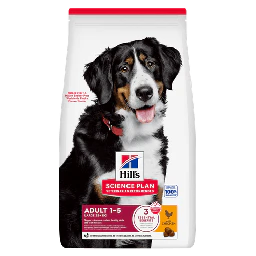 Hill’s Science Plan Adult Large Croquettes Chien au Poulet 12kg