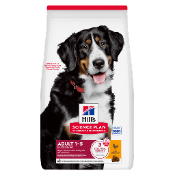 Hill’s Science Plan Adult Large Croquettes Chien au Poulet 14kg