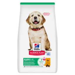 Hill's Science Plan Puppy Large Croquettes Chiot Poulet 2,5kg