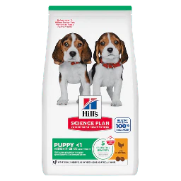 Hill's Science Plan Puppy Medium Croquettes pour Chiot au Poulet 12kg