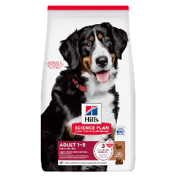 Hill's Science Plan Adult Large Croquettes Chien à l'Agneau & Riz 12kg