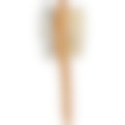 Trixie Borstel 2-zijdig Bamboe 5 × 19 Cm