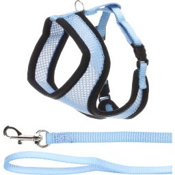 Flamingo Chaton Harnais Avec Laisse Harms Bleu 28cm 32-41cm 110cm