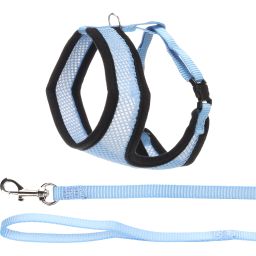Flamingo Chat Harnais Avec Laisse Harms Bleu