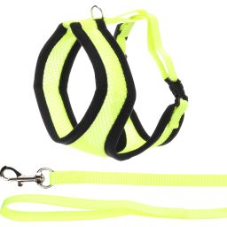 Flamingo Chat Harnais Avec Laisse Harms Jaune