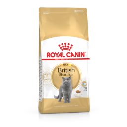Royal Canin British Shorthair pour chat 10kg