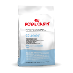 Royal Canin Queen 34 pour chat 4kg
