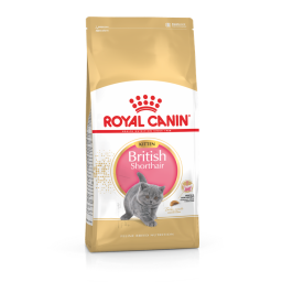 Royal Canin British Shorthair Chaton 2kg