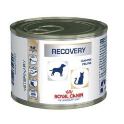 Royal Canin Recovery canine/feline