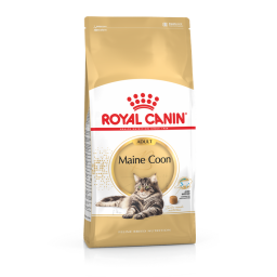 Royal Canin Maine Coon Adult pour chat 4kg