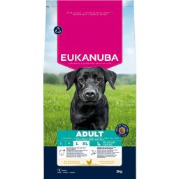 Eukanuba Adult Large Breed Croquettes pour Chien aux Poulet