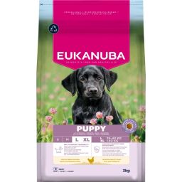 Eukanuba Puppy Large Breed Croquettes pour Chiot aux Poulet