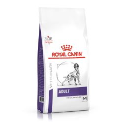 Royal Canin Chien Adult Medium Dog